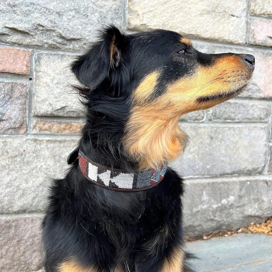 Handgefertigtes, mit Perlen besetztes Leder-Hundehalsband für große Rassen – Stark & Stilvoll – Passt für 40-50 cm Halsumfang (Kahawia)